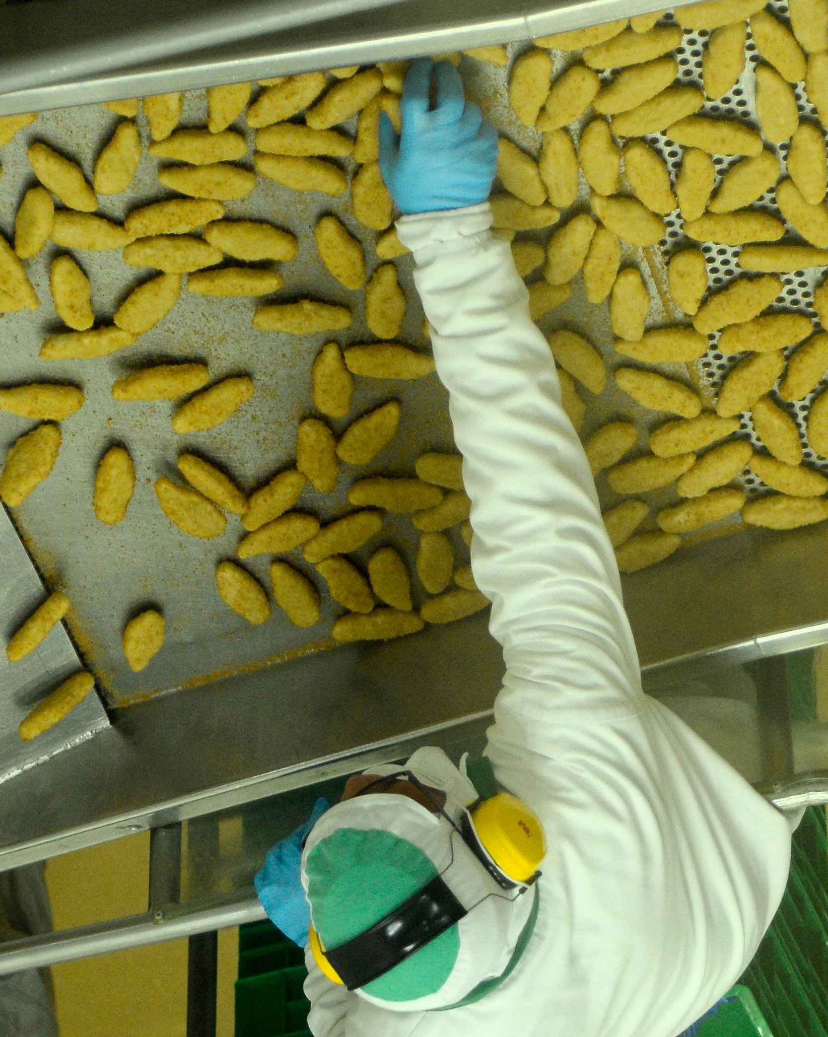 Gripe aviária ameaça exportações: China e UE fecham portas para frango brasileiro