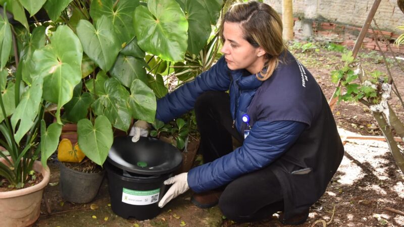 Santo André faz do Aedes um aliado no combate à própria espécie