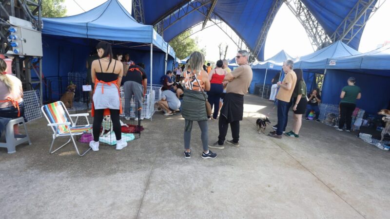 Santo André: Feira De Adoção “Eu Amo, Eu Adoto” Agita Parque Central