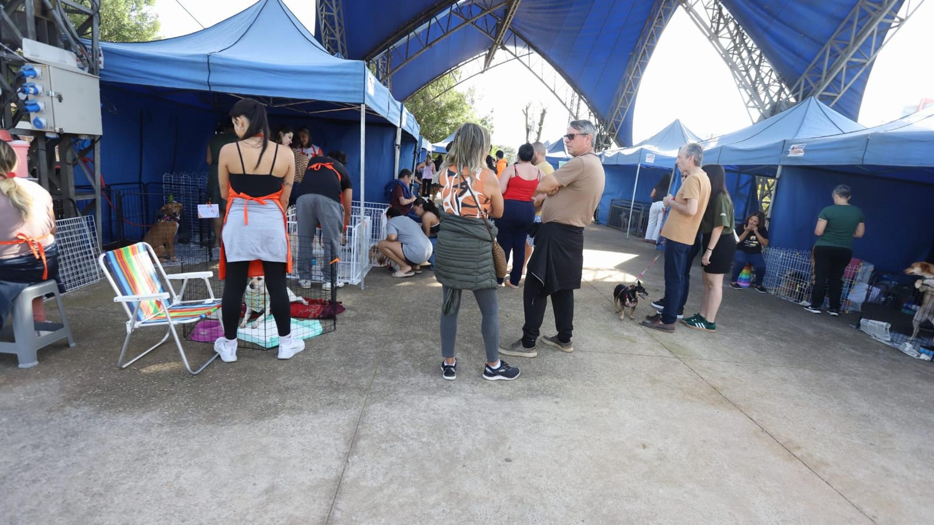 Santo André: Feira De Adoção “Eu Amo, Eu Adoto” Agita Parque Central