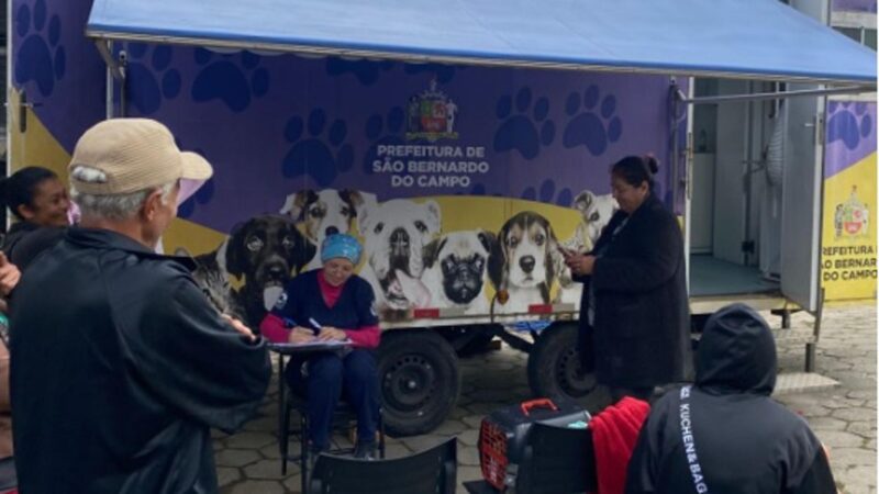 Castramóvel Em São Bernardo: Agende A Castração Gratuita Do Seu Pet