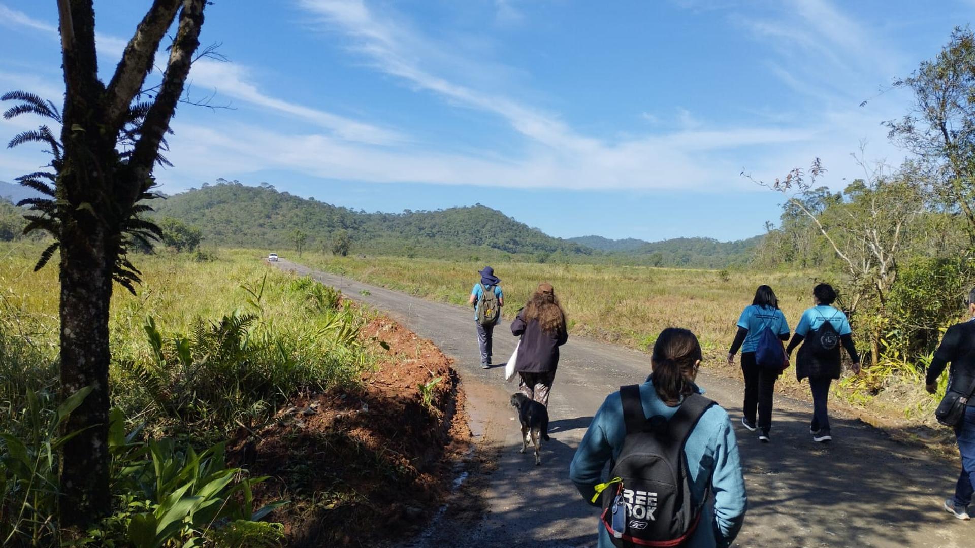 Peregrinação Em Santo André Celebra Padroeiro De Paranapiacaba