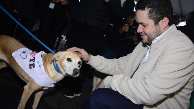 Santo André Une Tecnologia E Amor Para Facilitar A Adoção De Pets