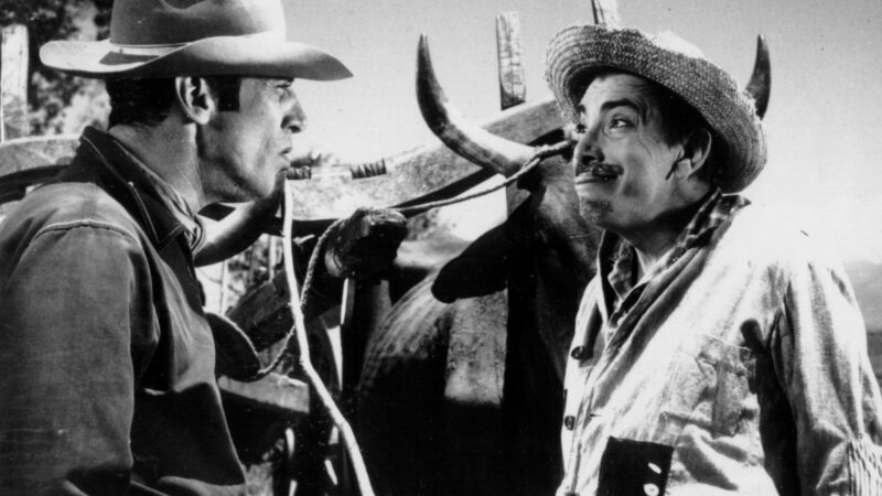 Show Gratuito Em Santo André Celebra Os Clássicos De Mazzaropi