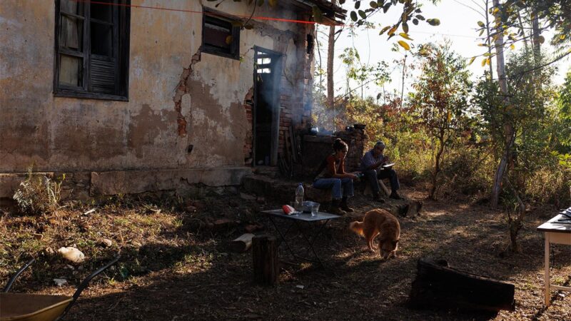 Cinemão De Quinta Em Santo André: Suçuarana Grátis!