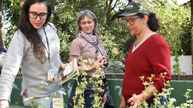 Santo André Celebra O Mês Da Árvore Com Trilhas, Cursos E Plantios