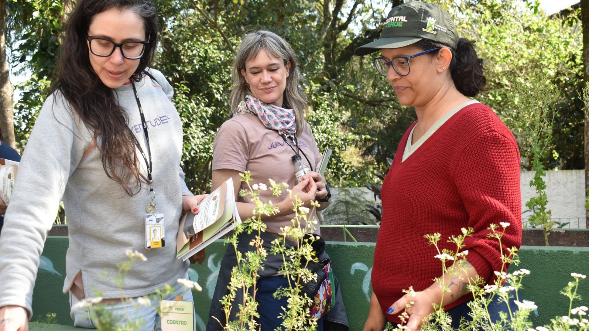 Santo André Celebra O Mês Da Árvore Com Trilhas, Cursos E Plantios