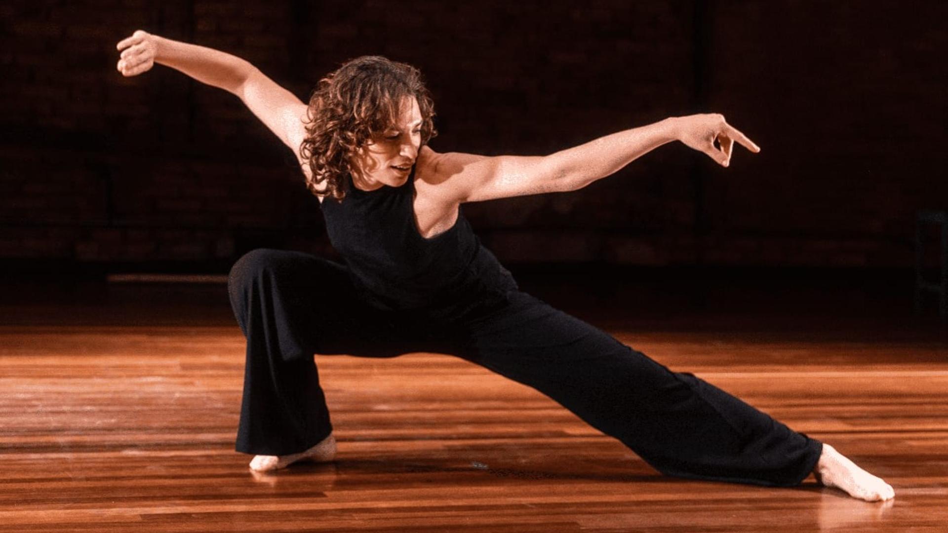 Santo André: Festival Abcdança Transpetro Traz Dança E Oficinas Grátis!