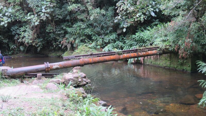 Santo André: Paranapiacaba tem programação imperdível para o Dia das Áreas Protegidas.