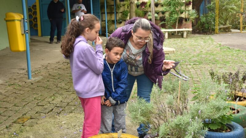 Santo André: Parque Escola Emea Tangará abre sábados com atividades gratuitas que vão encantar sua família.