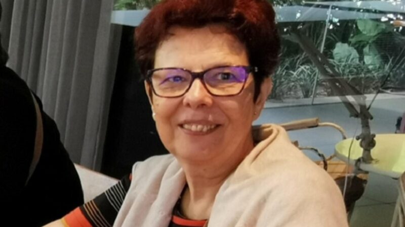 Santo André: evento multicultural gratuito une arte e arrecada livros para detentas